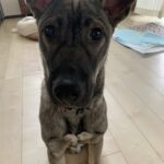 ３月１６日　イベント参加のお知らせ